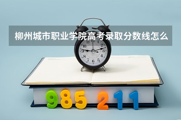 柳州城市职业学院高考录取分数线怎么算？