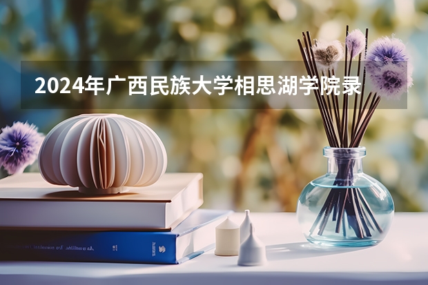 2024年广西民族大学相思湖学院录取分数线是多少？
