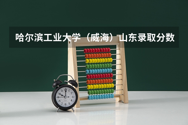 哈尔滨工业大学（威海）山东录取分数线是多少 今年招生人数是多少