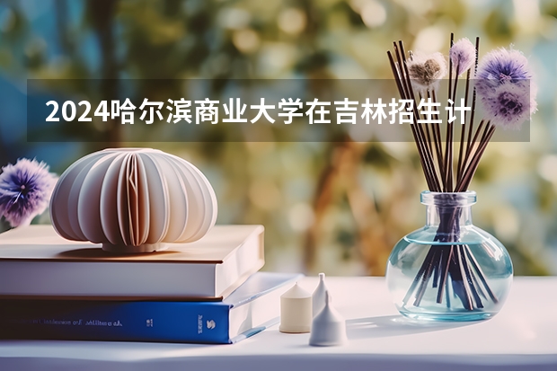 2024哈尔滨商业大学在吉林招生计划表