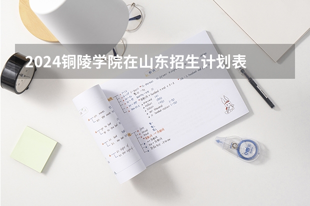 2024铜陵学院在山东招生计划表