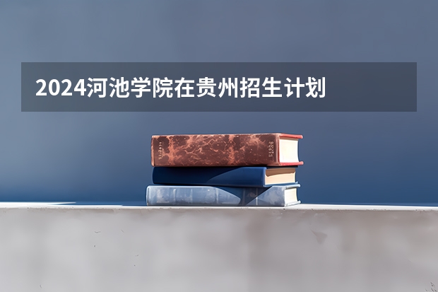 2024河池学院在贵州招生计划