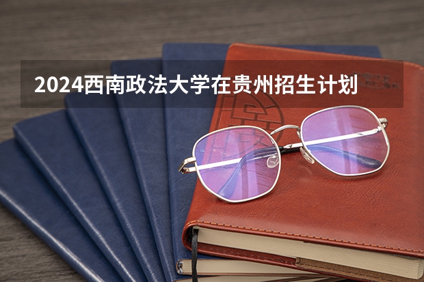 2024西南政法大学在贵州招生计划