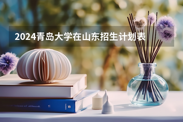 2024青岛大学在山东招生计划表