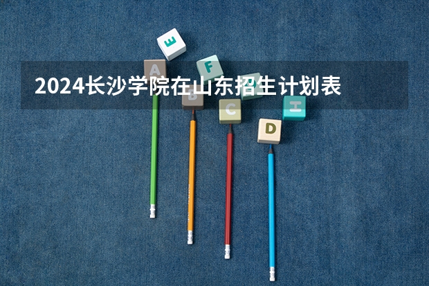 2024长沙学院在山东招生计划表