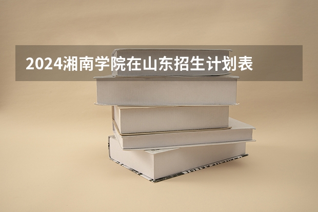 2024湘南学院在山东招生计划表