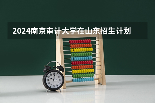 2024南京审计大学在山东招生计划表