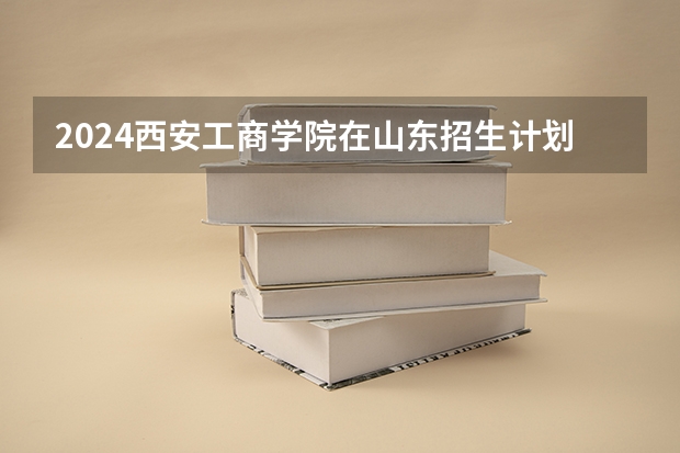 2024西安工商学院在山东招生计划表