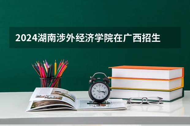 2024湖南涉外经济学院在广西招生计划