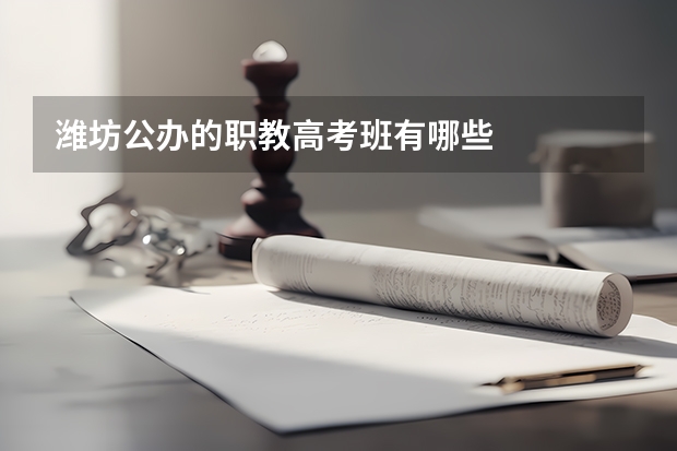 潍坊公办的职教高考班有哪些