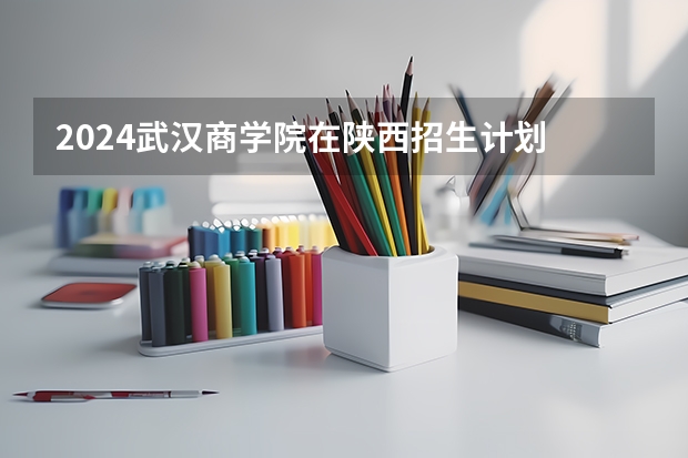 2024武汉商学院在陕西招生计划