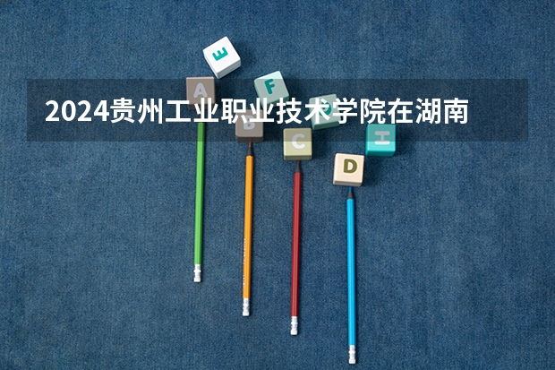 2024贵州工业职业技术学院在湖南招生计划