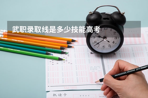 武职录取线是多少技能高考
