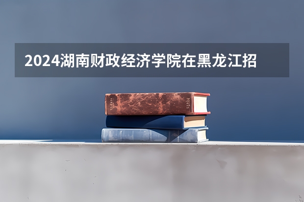 2024湖南财政经济学院在黑龙江招生计划
