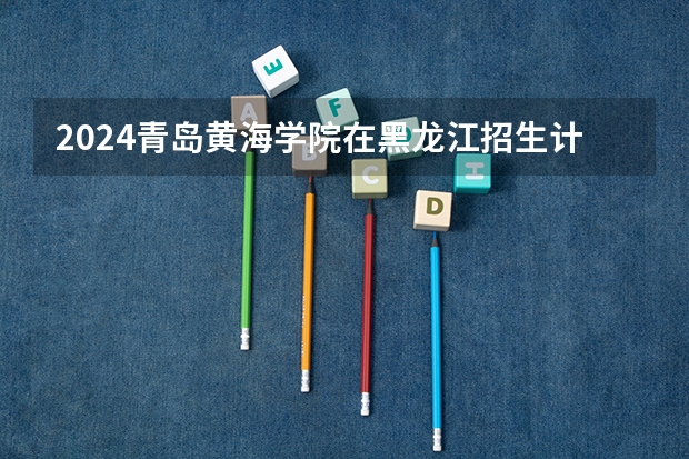 2024青岛黄海学院在黑龙江招生计划
