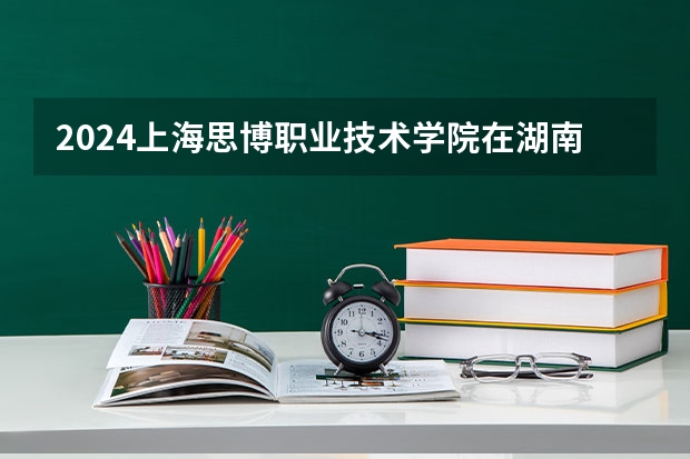 2024上海思博职业技术学院在湖南招生计划