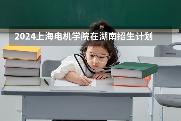 2024上海电机学院在湖南招生计划