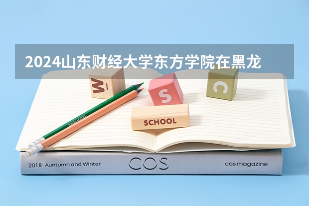 2024山东财经大学东方学院在黑龙江招生计划
