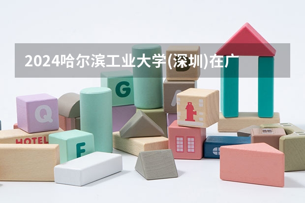 2024哈尔滨工业大学(深圳)在广东招生计划