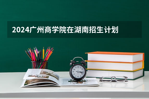 2024广州商学院在湖南招生计划