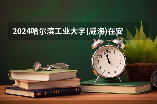 2024哈尔滨工业大学(威海)在安徽招生计划