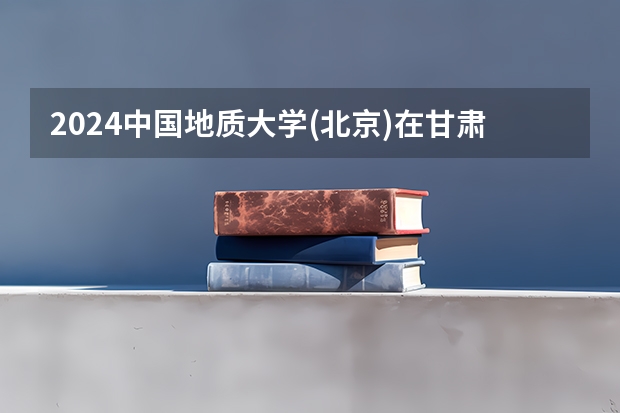 2024中国地质大学(北京)在甘肃招生计划