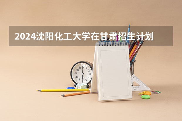 2024沈阳化工大学在甘肃招生计划