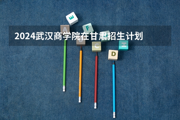 2024武汉商学院在甘肃招生计划