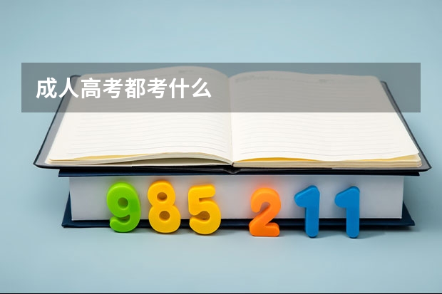 成人高考都考什么
