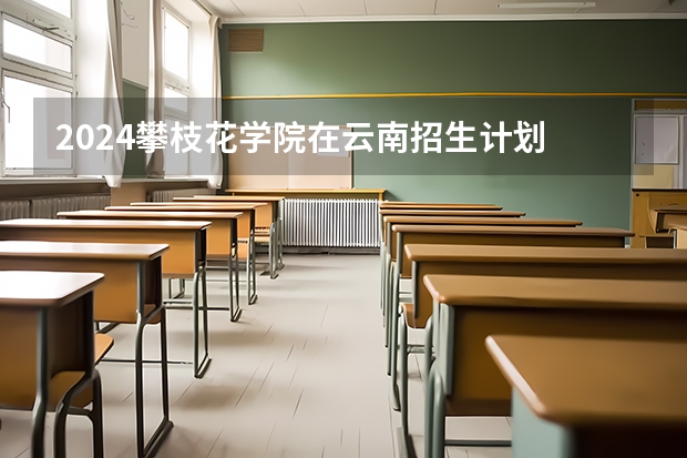 2024攀枝花学院在云南招生计划