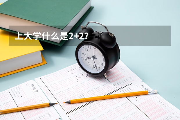 上大学什么是2+2？