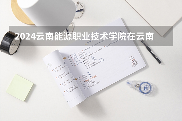 2024云南能源职业技术学院在云南招生计划
