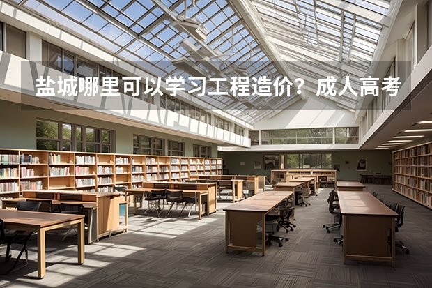盐城哪里可以学习工程造价?成人高考学校之类的。