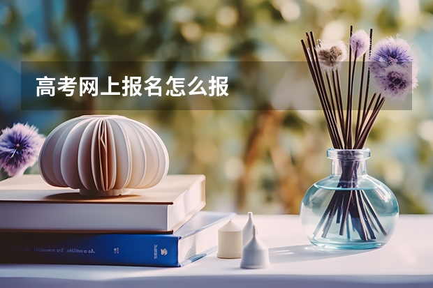 高考网上报名怎么报
