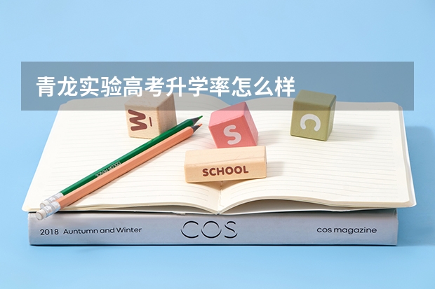 青龙实验高考升学率怎么样