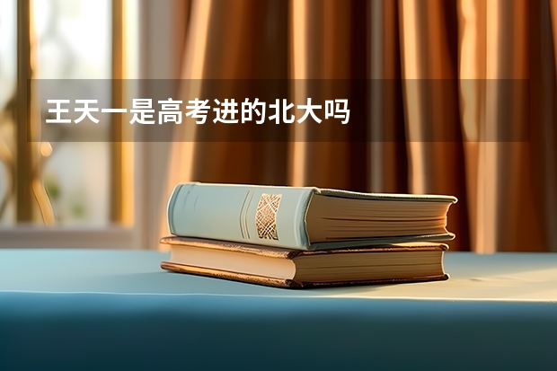 王天一是高考进的北大吗