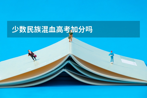 少数民族混血高考加分吗