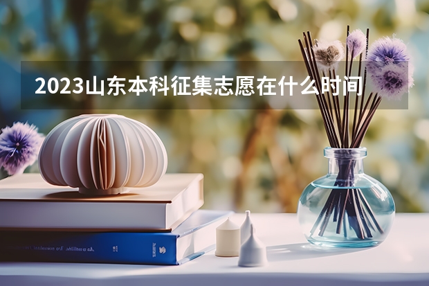 2023山东本科征集志愿在什么时间