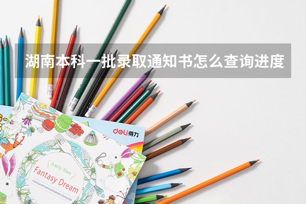 湖南本科一批录取通知书怎么查询进度