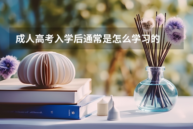 成人高考入学后通常是怎么学习的