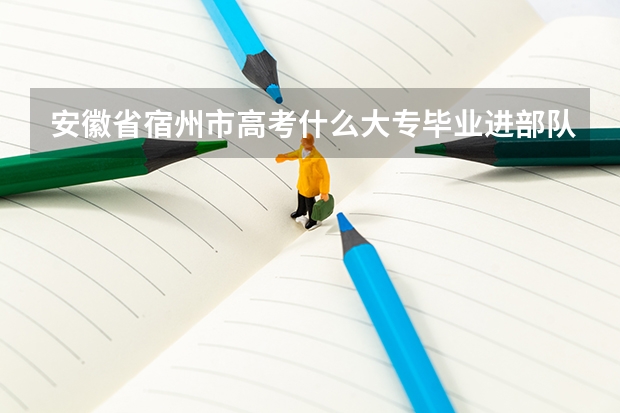 安徽省宿州市高考什么大专毕业进部队就是士官