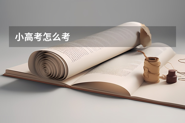 小高考怎么考