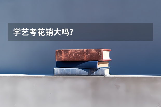 学艺考花销大吗？