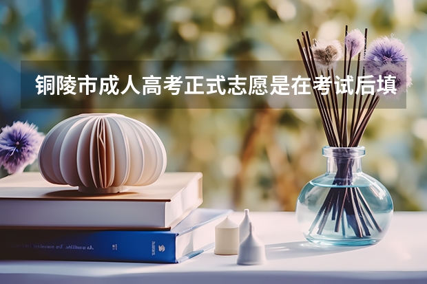 铜陵市成人高考正式志愿是在考试后填吗？