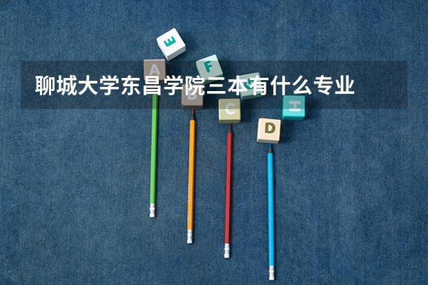 聊城大学东昌学院三本有什么专业