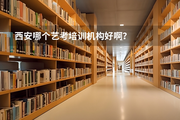 西安哪个艺考培训机构好啊？
