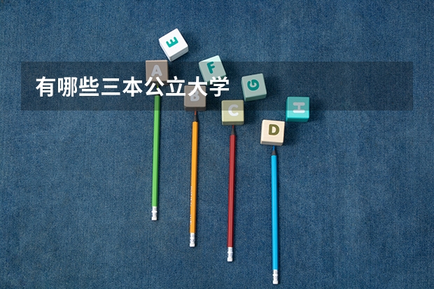 有哪些三本公立大学