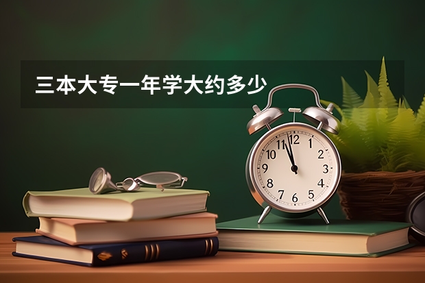 三本大专一年学大约多少