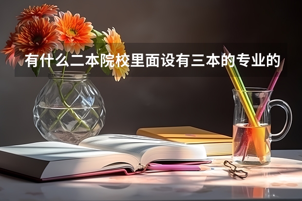 有什么二本院校里面设有三本的专业的？急！！！我是广西考生