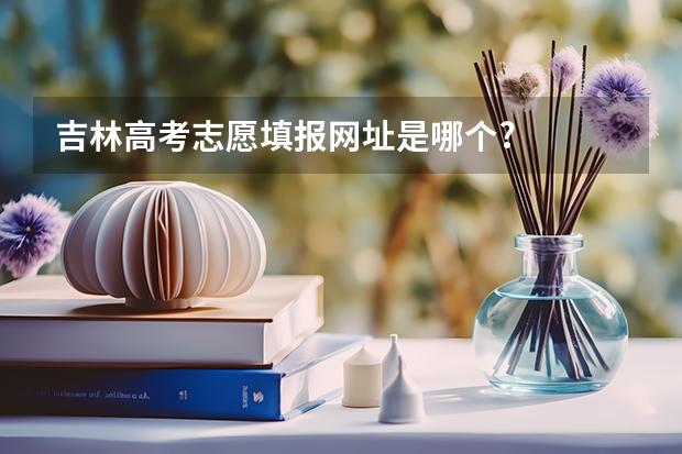 吉林高考志愿填报网址是哪个?
